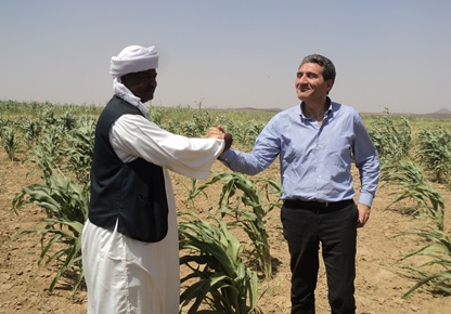 The Deputy D.G. Cassese shaking hands with the Commissioner of Haya locality during the visit to the sorghum fields